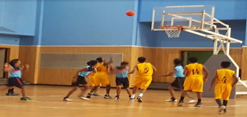 Basketball Court25