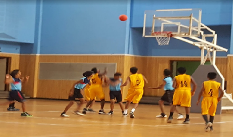 Basketball Court2