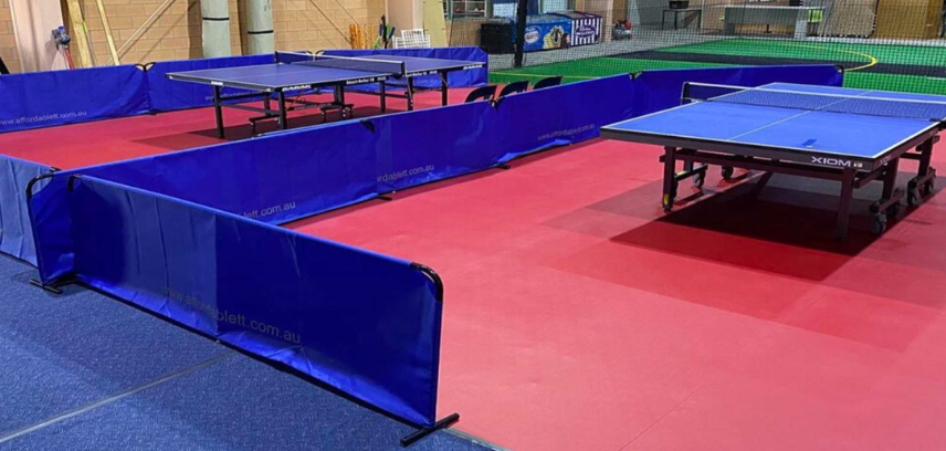 Table Tennis Arena