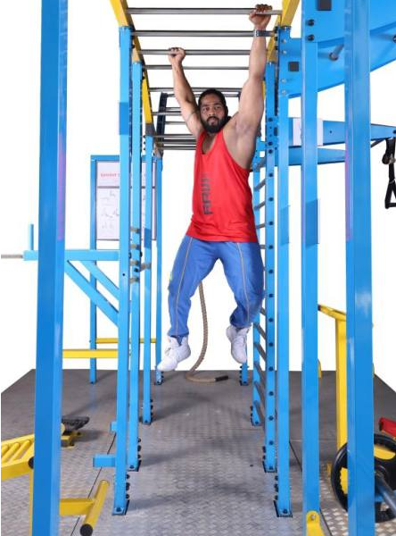 Monkey Ladder1