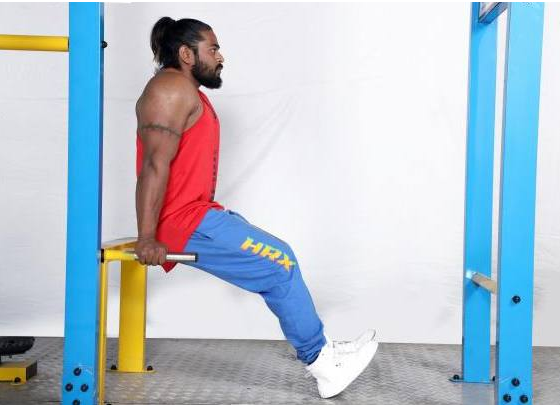 Tricep Dips1